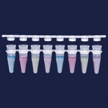 PCR管- 独立圆顶盖- 排式8 x 0,2 ml tube