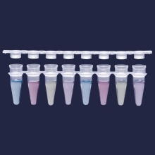 PCR管-整体平盖/独立平盖